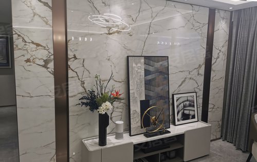 鱼肚金背景墙,大气上档次