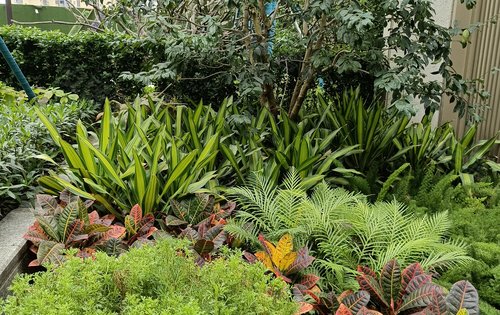 太东万科万悦花园小区的园林景观郁郁葱葱的绿植打造健康生态的美好