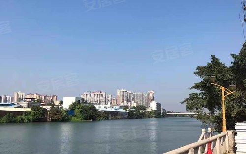 碧桂园锦泷湾动态:均安十里水岸,无遮挡一线滨江水岸景观-佛山安居客