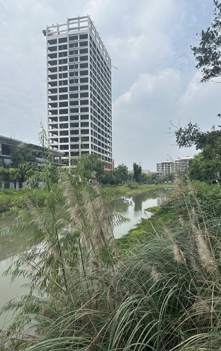 楼下即是长流河湿地公园…