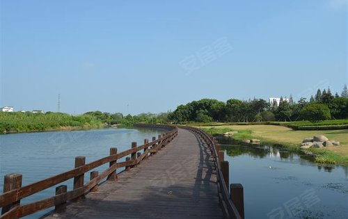 大名城映湖
