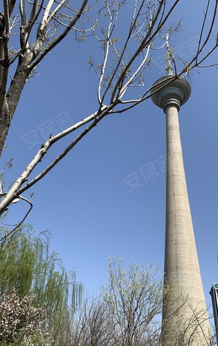 天津天塔喜马拉雅图片