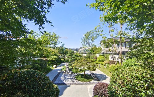 绿城春风里动态:来一组合院实景拍摄图！阳光明媚欢迎来绿城打卡！-六安安居客