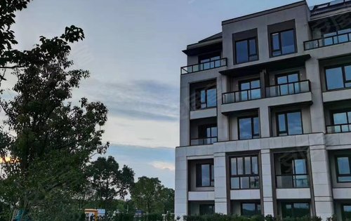 离离暑云散 袅袅凉风起 公元2040二期叠墅金地,融创,招商三大开发商