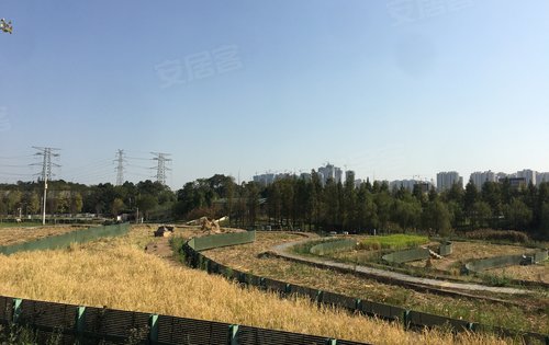 阳光正好微风不燥打卡隆平中央公园