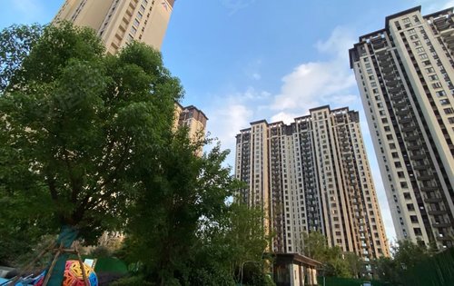 虞城建业新筑图片