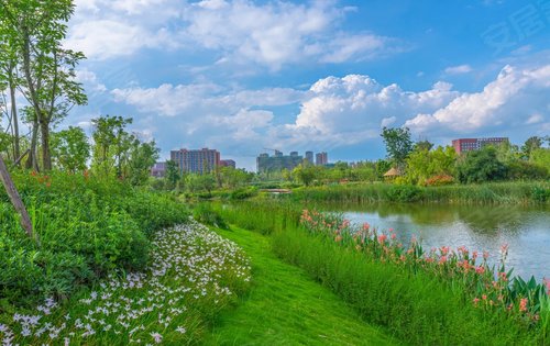 鹿溪河生态湿地