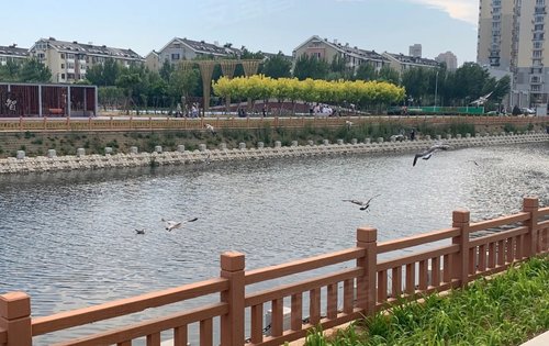 如果你喜欢美好生活,那么这个泉水河公园一定适合你,也是我们项目的