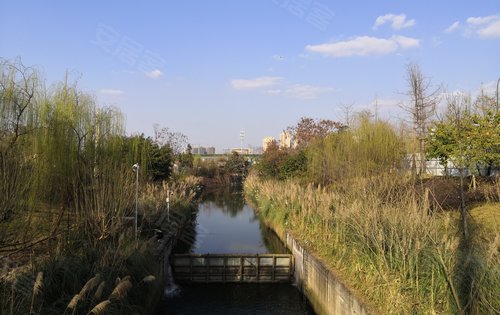 打卡项目周边生态环境新川湿地公园新川之心中央公园