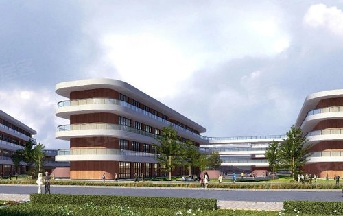 东城小学选址于夷陵区东城试验区,规划道路可通东方大道和东城大道,总