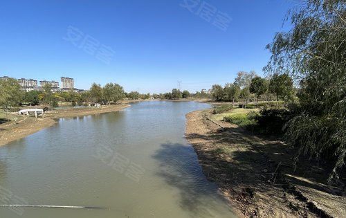 远大印澜山旁蓝天下的南湖湿地公园美哉