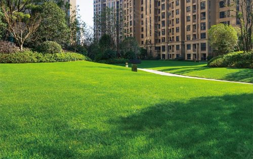 新力雅园 4季草坪社区配套天地·新力雅园楼盘点评(8244)942020-11-13