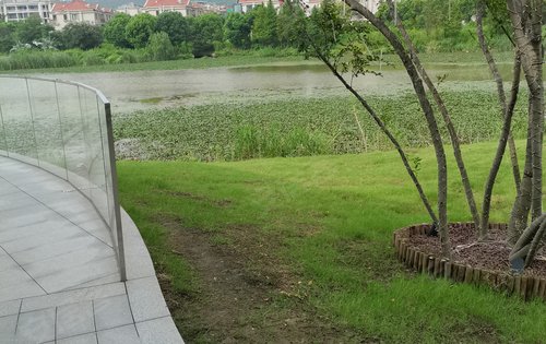 江阴敔山玉兰花园图片