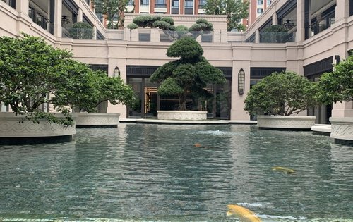 颛桥紫薇花园(左岸)动态:颛桥紫薇花园-上海安居客