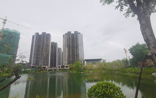 大华潘安湖首府二期图片