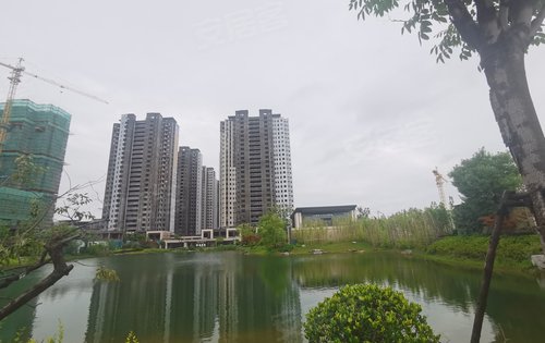 大华·潘安湖首府动态:空气很清新哦,是景区大华的调调-徐州安居客