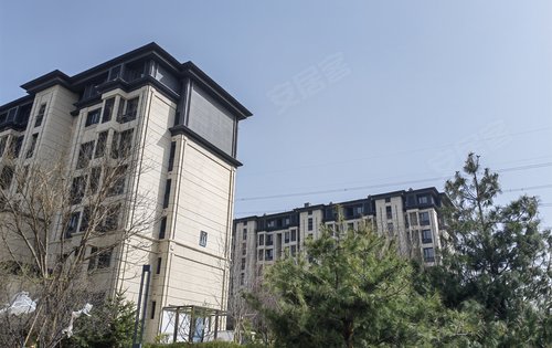 保利和府动态:和府二期交付在即,宽敞明亮的小区,晨跑好去处-大连安居