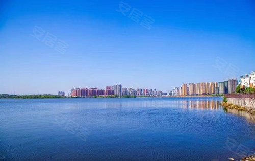 项目周边的柴泊湖