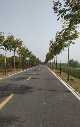 项目距离湛河500米左右