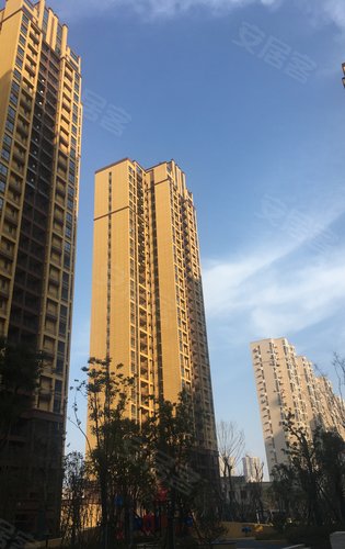 星悦湾动态:2020年的星悦湾,加油.-武汉安居客