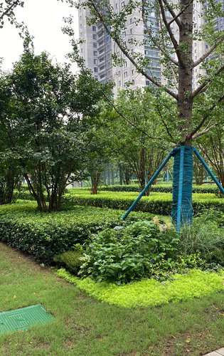 万科翡翠东方动态:小区景观一角-无锡安居客