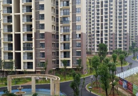 东贝佳苑动态:带你看东贝佳苑-黄石安居客