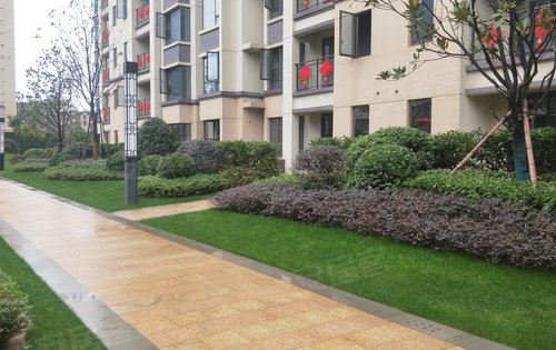 吉水达观洲悦小区实景图