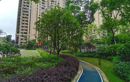 高层园林实景45以上的绿化率环境优美绿树成荫