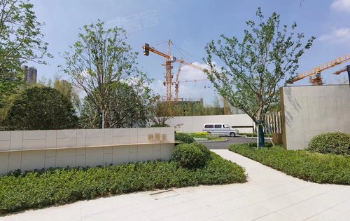 四季都会晓风来