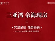 三亚天涯区凤凰镇吉祥16号楼盘新房真实图片