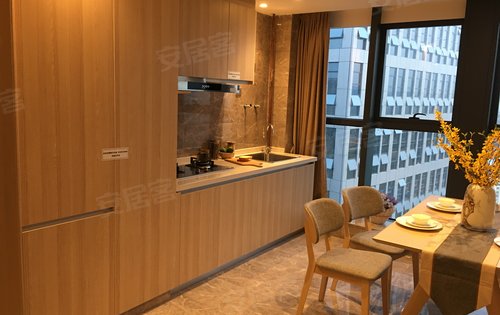 中辰未来港民用水电535米复式现房