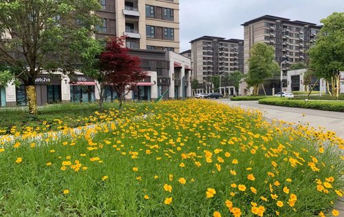 北辰蔚藍城市園林實景拍攝