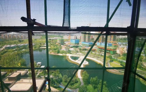 7号楼视野直面观湖