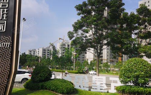 民权碧桂园3期梦蝶园