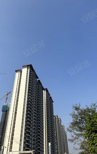 北投凤景湾动态:现房,今年买今年入住,高铁旁,钦州核心位置,完美视野