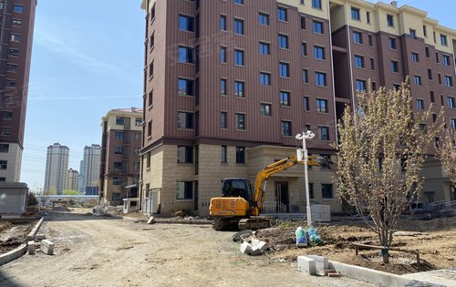 翡翠半岛皓园的工程进度