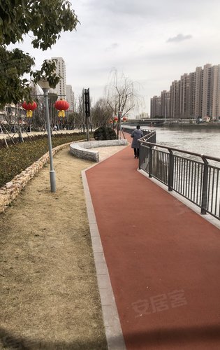 上海淀浦河景观步道图片