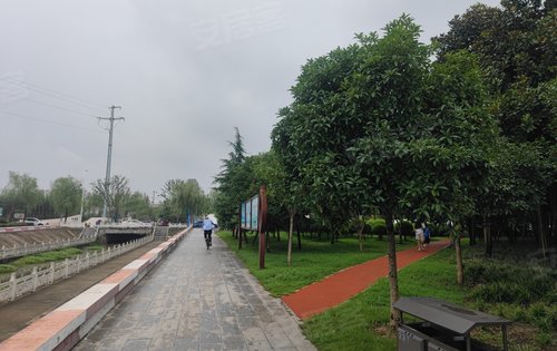 信阳琵琶台公园图片