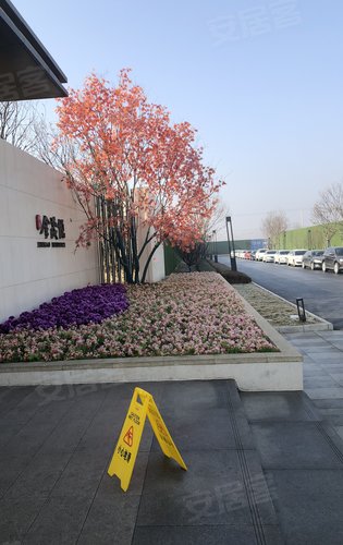 竞秀金茂悦动态:保定金茂悦,欢迎大家看房-保定安居客