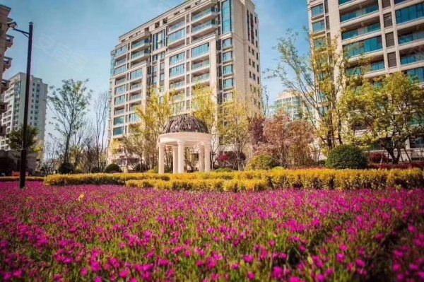 临沂儒辰观澜府怎么样,儒辰观澜府业主论坛,儒辰观澜府评论,用户点评