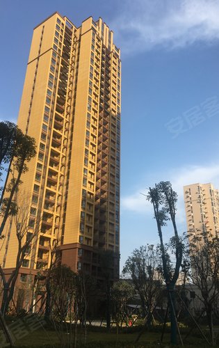 星悦湾动态:2020年的星悦湾,加油.-武汉安居客