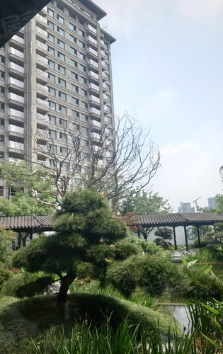 建发云锦湾实景