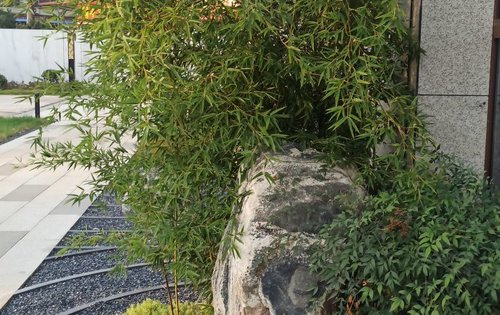 营销中心园林绿化