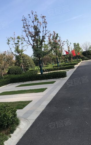 售楼部门口外边的临时停车场