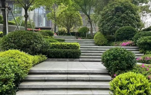 小区绿化实景呈现