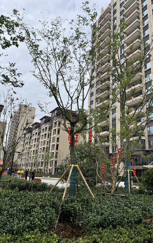 信阳碧桂园领墅