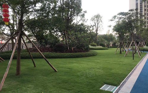美的鹭湖湖山原筑小区环境