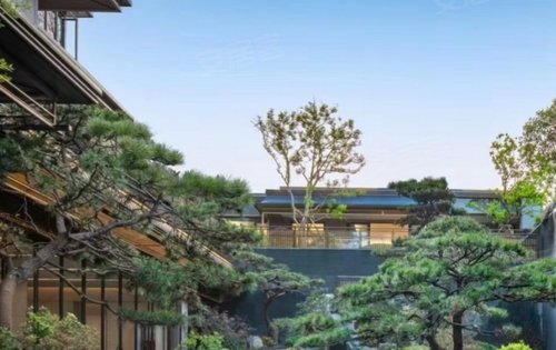 建发英冠·宸云动态:建发景观绿化环境介绍-杭州安居客