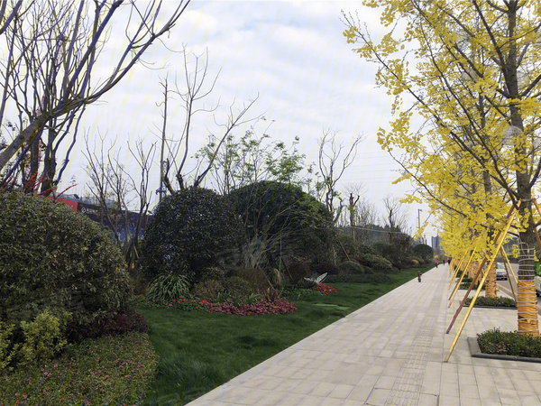 资阳楼盘 安岳县楼盘 柠都天誉城