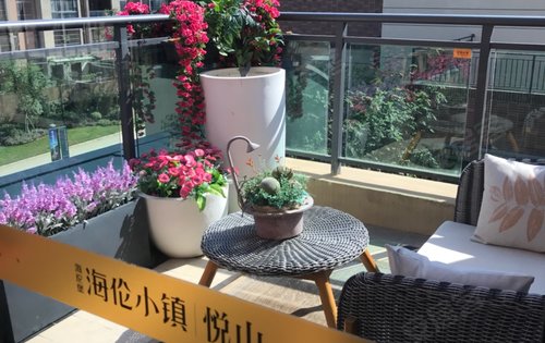 海伦小镇联排别墅开盘啦